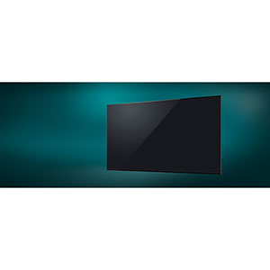 Panasonic TH65LFE7, 65", LED, With Speakers, 2 in a case