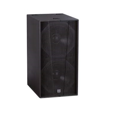 Martin Audio Wavefront W218X